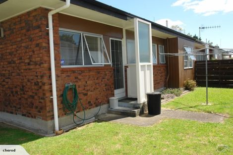 Photo of property in 16c Burrows Street, Tauranga South, Tauranga, 3112