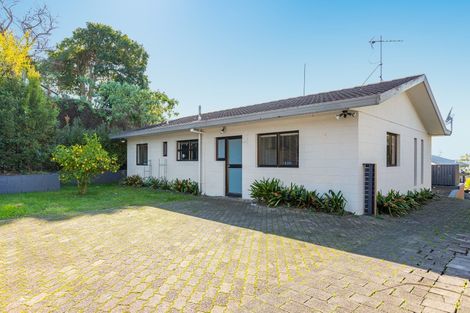 Photo of property in 14a Wikitoria Street, Maungatapu, Tauranga, 3112