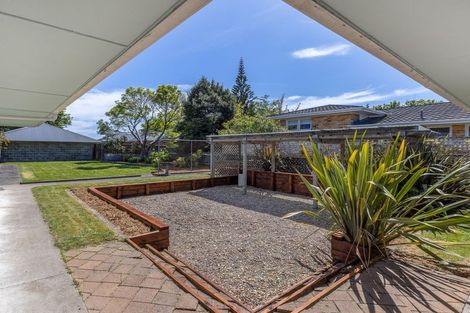 Photo of property in 115 Winchester Street, Levin, 5510