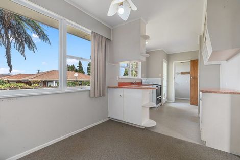 Photo of property in 3 Woods Avenue, Matua, Tauranga, 3110
