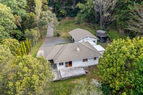 Photo of property in 101 Bald Hill Road, Waitoki, Kaukapakapa, 0871