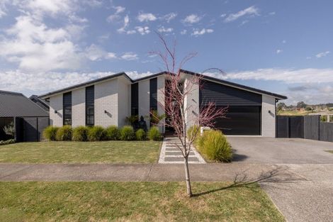 Photo of property in 175 Te Ranga Memorial Drive, Pyes Pa, Tauranga, 3112