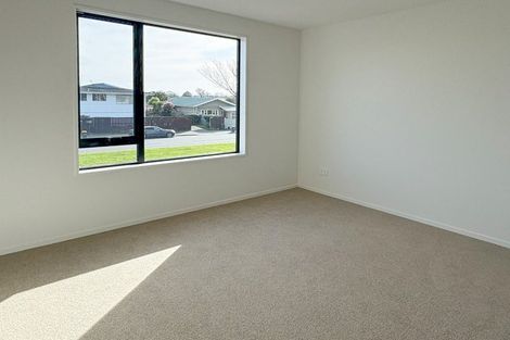 Photo of property in 1/116 Aldwins Road, Phillipstown, Christchurch, 8062