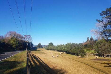 Photo of property in 249 Plummers Point Road, Whakamarama, Tauranga, 3172