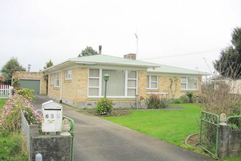 Photo of property in 650 Queen Street East, Levin, 5510