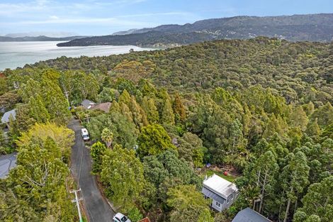 Photo of property in 43 Kauri Point Road, Laingholm, Auckland, 0604