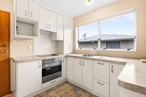 Photo of property in 803b Lane Street, Mahora, Hastings, 4120