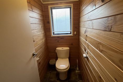 Photo of property in 120 Limbrick Street, Terrace End, Palmerston North, 4410