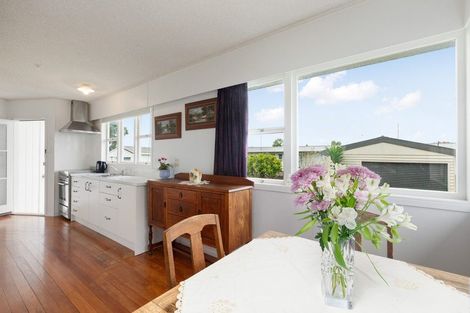 Photo of property in 105 Centennial Avenue, Thames, 3500