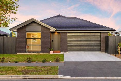 Photo of property in 31 Ellesmere Street, Marshland, Christchurch, 8083