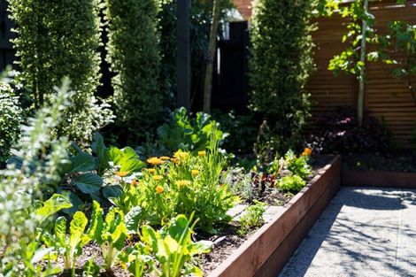 Photo of property in 2 Kent Place, Mosgiel, 9024