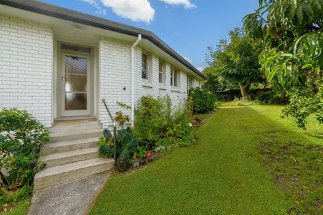 Photo of property in 50a Harvey Street, Tauranga South, Tauranga, 3112