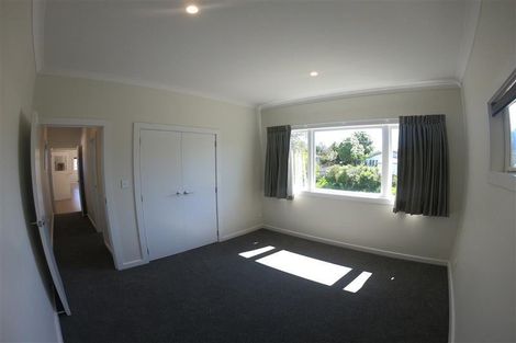 Photo of property in 161 Rimu Street, Maeroa, Hamilton, 3200