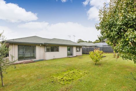 Photo of property in 25 Vista Drive, Feilding, 4702