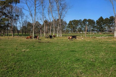 Photo of property in 54 Lewis Road, Otakiri, Whakatane, 3193