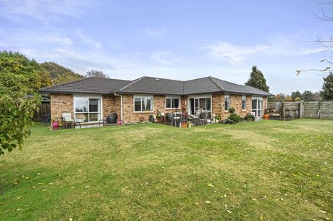 Photo of property in 4 Rowling Place, Leamington, Cambridge, 3432