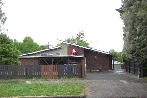 Photo of property in 20 Morrow Terrace, Pukekohe, 2120