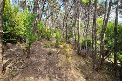 Photo of property in 21 Woods Ridge Road, Kawau Island, 0920