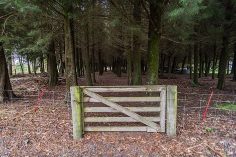 Photo of property in 296 Rangitata Island Road, Rangitata Island, Temuka, 7986