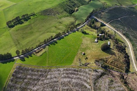 Photo of property in 226 Mokoreta-tahakopa Road, Mokoreta, Wyndham, 9892