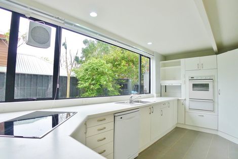 Photo of property in 101a Te Kawa Road, Greenlane, Auckland, 1061
