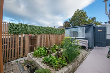 Photo of property in 6 Mccrea Street, Mornington, Dunedin, 9011