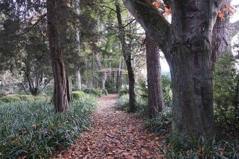 Photo of property in Ashfield, 410 Orari Station Road, Geraldine, 7992