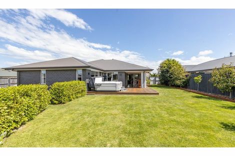 Photo of property in 36 Weka Street, Oxford, 7430