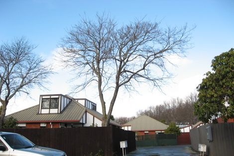 Photo of property in 6/160 Saint Albans Street, St Albans, Christchurch, 8014