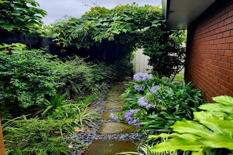 Photo of property in 60b Opawa Road, Waltham, Christchurch, 8023