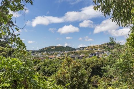 Photo of property in 33 Longitude Place, Whitby, Porirua, 5024