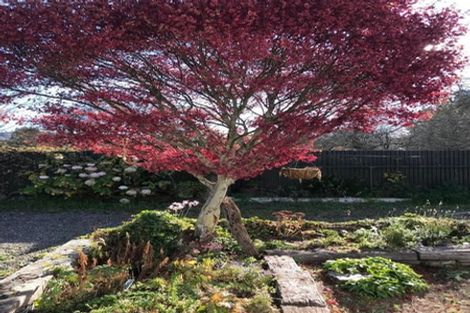 Photo of property in 64 Geelong Street, Waikouaiti, 9510