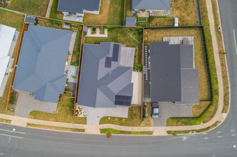 Photo of property in 82f Verbena Road, Birkdale, Auckland, 0626