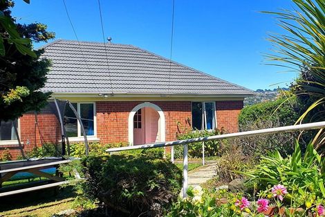 Photo of property in 139 Forfar Street, Clyde Hill, Dunedin, 9011