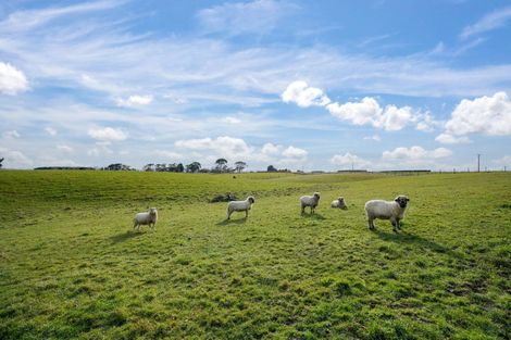 Photo of property in 98 Mcintosh Road, Otautau, 9683
