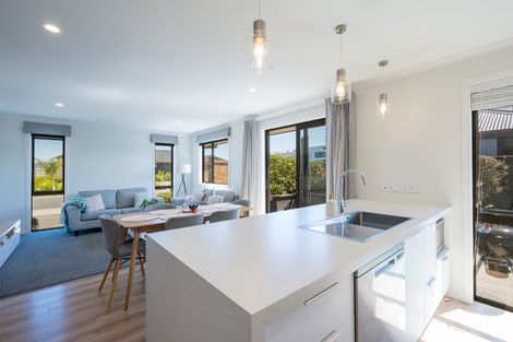 Photo of property in 21 Bedfont Street, Richmond, 7020