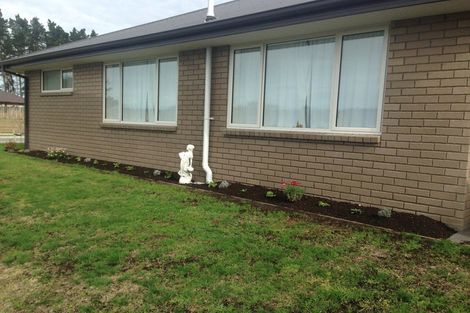 Photo of property in 13 Pegasus Main Street, Pegasus, 7612