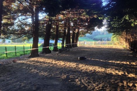 Photo of property in 505 Golden Valley Road, Waihi, 3681