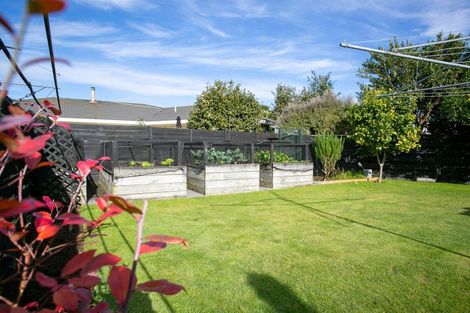 Photo of property in 91 Williams Street, Cambridge, 3434