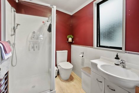 Photo of property in 44a Willoughby Street, Whitiora, Hamilton, 3200