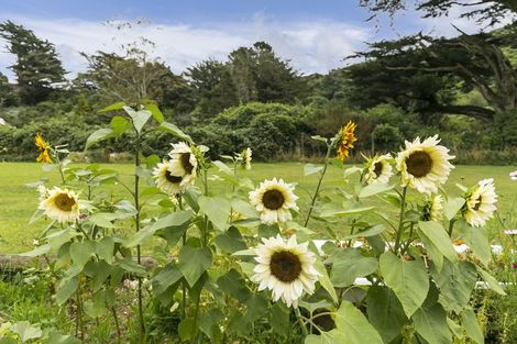 Photo of property in 287 South Karori Road, Karori, Wellington, 6012