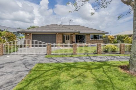 Photo of property in 91 Queen Street West, Levin, 5510