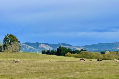 Photo of property in 90 Maytown Road, Waimate, 7978