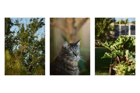 Photo of property in 19c Thames Road, Paeroa, 3600