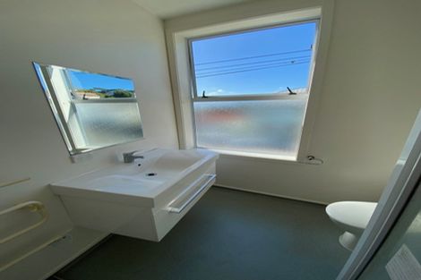 Photo of property in 106 Constable Street, Newtown, Wellington, 6021