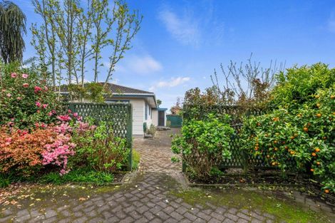 Photo of property in 23b Larch Street, Victoria, Rotorua, 3010