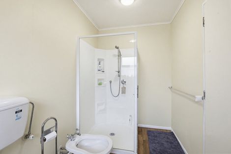 Photo of property in 34a Power Street, Levin, 5510