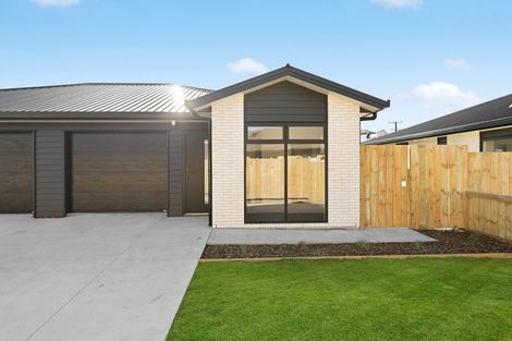 Photo of property in 17 Fend Street, Chartwell, Hamilton, 3210