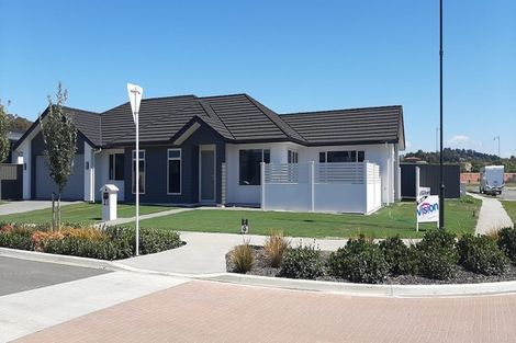 Photo of property in 23 Monowai Street, Poraiti, Napier, 4112