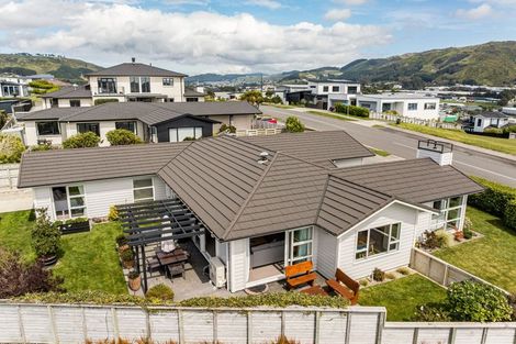 Photo of property in 65 John Burke Drive, Aotea, Porirua, 5024